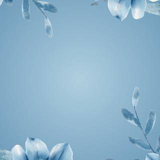 Pastel blue phone wallpaper