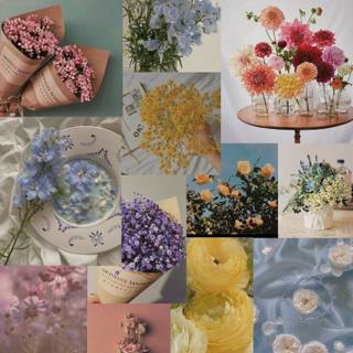 Flowers collage wallpaper