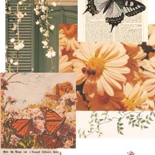 Flowers collage wallpaper
