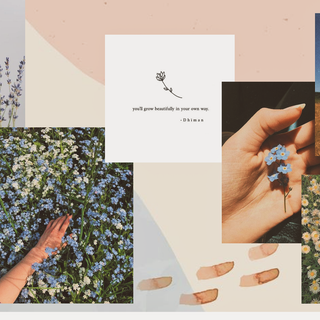 Flowers collage wallpaper