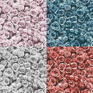 Flowers collage wallpaper