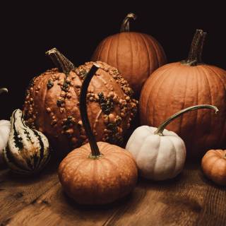 Aesthetic pumpkins wallpaper