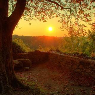 Warm desktop wallpaper