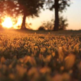 Warm desktop wallpaper