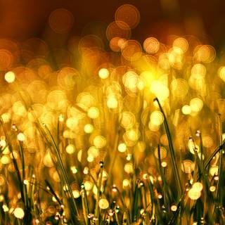 Warm desktop wallpaper