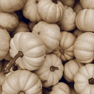 Aesthetic pumpkins wallpaper