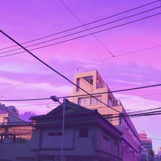 Tokyo pink wallpaper