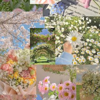 Flowers collage wallpaper