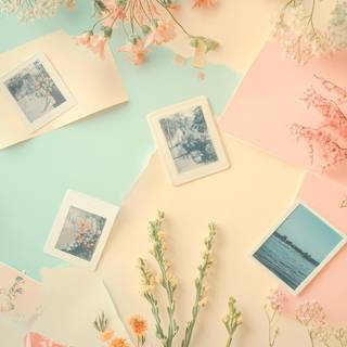 Flowers collage wallpaper