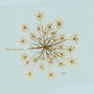 Flowers collage wallpaper