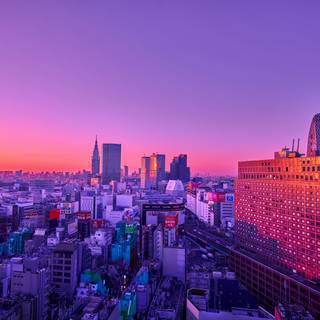 Tokyo pink wallpaper