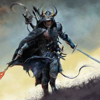 Warrior PC wallpaper