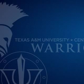 Warrior PC wallpaper