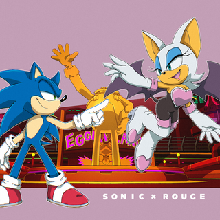 Shadow and Rouge wallpaper