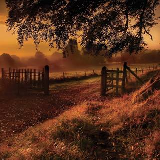 Warm desktop wallpaper