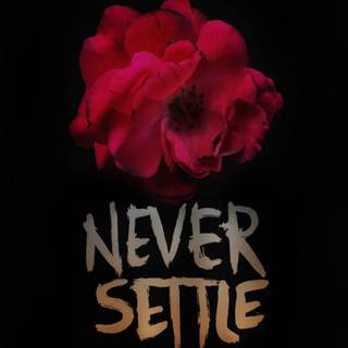 Never Settle phone wallpaper