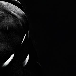 Desktop orcas wallpaper