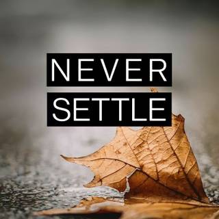 Never Settle phone wallpaper