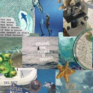 Marine biologist wallpaper