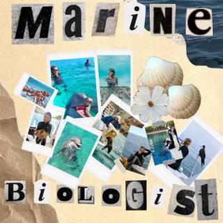 Marine biologist wallpaper