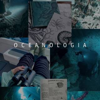 Marine biologist wallpaper