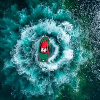 Marine biologist wallpaper