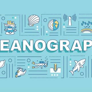 Marine biologist wallpaper