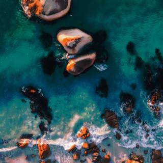 Marine biologist wallpaper