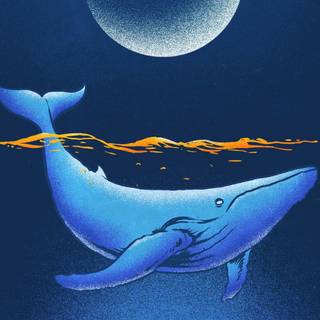 Marine biologist wallpaper