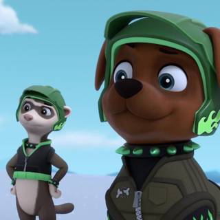 Boomer Paw Patrol wallpaper