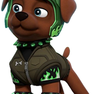 Boomer Paw Patrol wallpaper