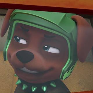 Boomer Paw Patrol wallpaper