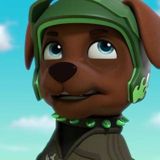 Boomer Paw Patrol wallpaper