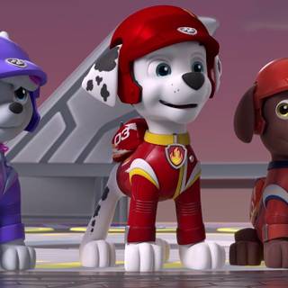 Boomer Paw Patrol wallpaper