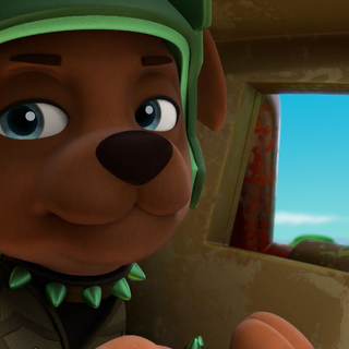 Boomer Paw Patrol wallpaper