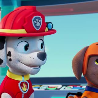 Boomer Paw Patrol wallpaper