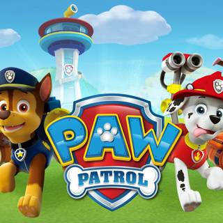 Boomer Paw Patrol wallpaper
