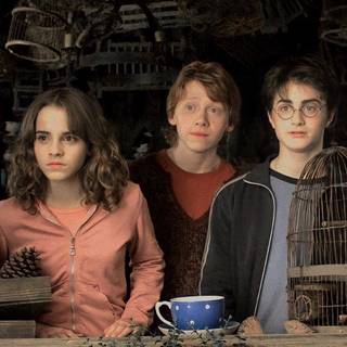 Trios aesthetic wallpaper