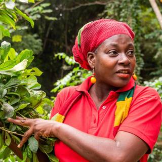 Rastafarians community wallpaper