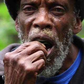 Rastafarians community wallpaper