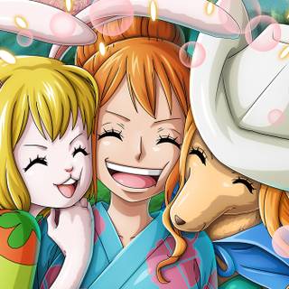 Wanda One Piece wallpaper