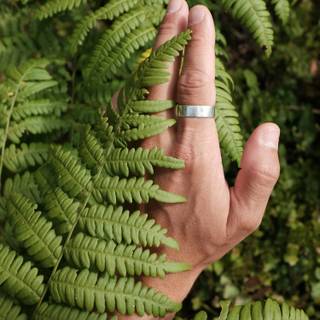 Rastafarians community wallpaper