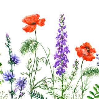 Wild flowers artwork wallpaper