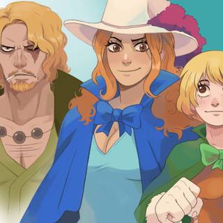 Wanda One Piece wallpaper