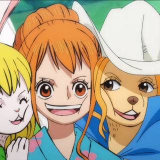 Wanda One Piece wallpaper