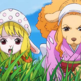 Wanda One Piece wallpaper