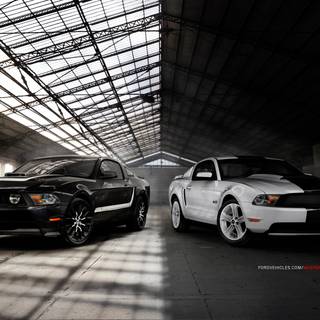 2010 Mustang wallpaper