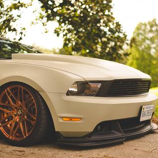 2010 Mustang wallpaper