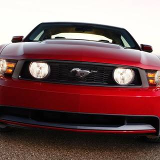 2010 Mustang wallpaper