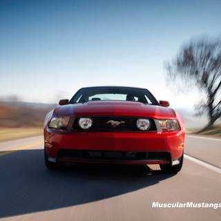 2010 Mustang wallpaper